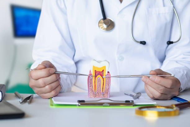 Best Emergency Treatment for Toothache in Cherokee, IA